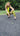 African Print Jogger pants - Yellow/Black Fern Print - Africas Closet